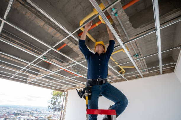 Professional Plumbing in Trowbridge Park, MI