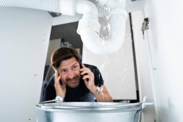 Best Septic Systems  in Trowbridge Park, MI