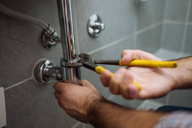Best Plumbing Inspection Services  in Trowbridge Park, MI